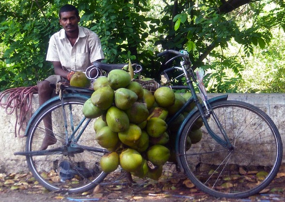 coconut seller